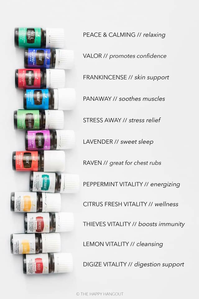 50439792_10107015655576863_7698043620342890496_n