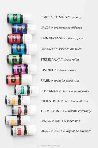 50439792_10107015655576863_7698043620342890496_n